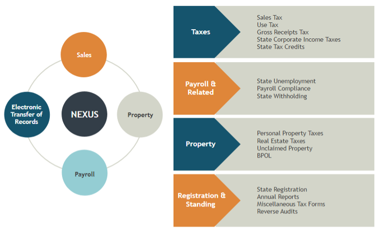 Strategic Alignment: CFOs and Tax Leaders in Focus