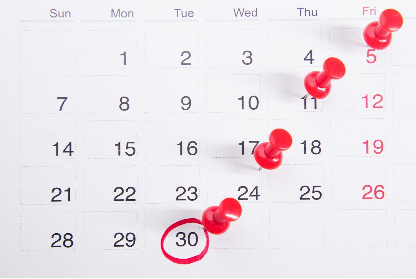 Plan Sponsor's Guide to 2024 Retirement Plan Deadlines